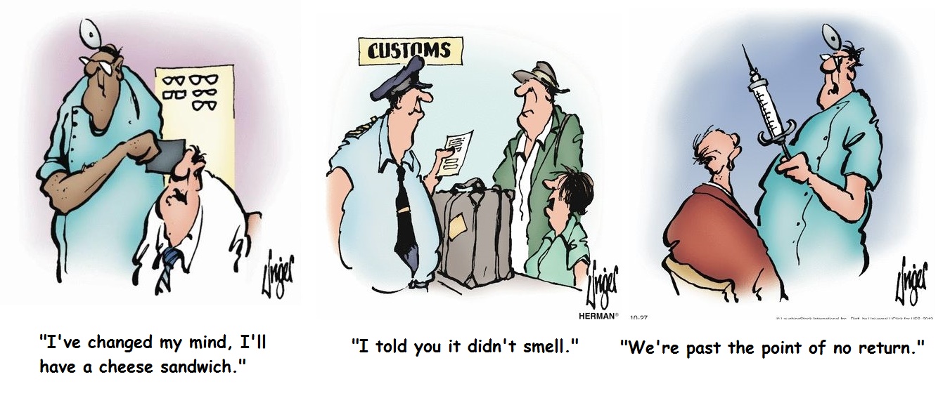 93cc91050ddac1f891423c72d0ea5a1e--vitreous-humour-herman-cartoon